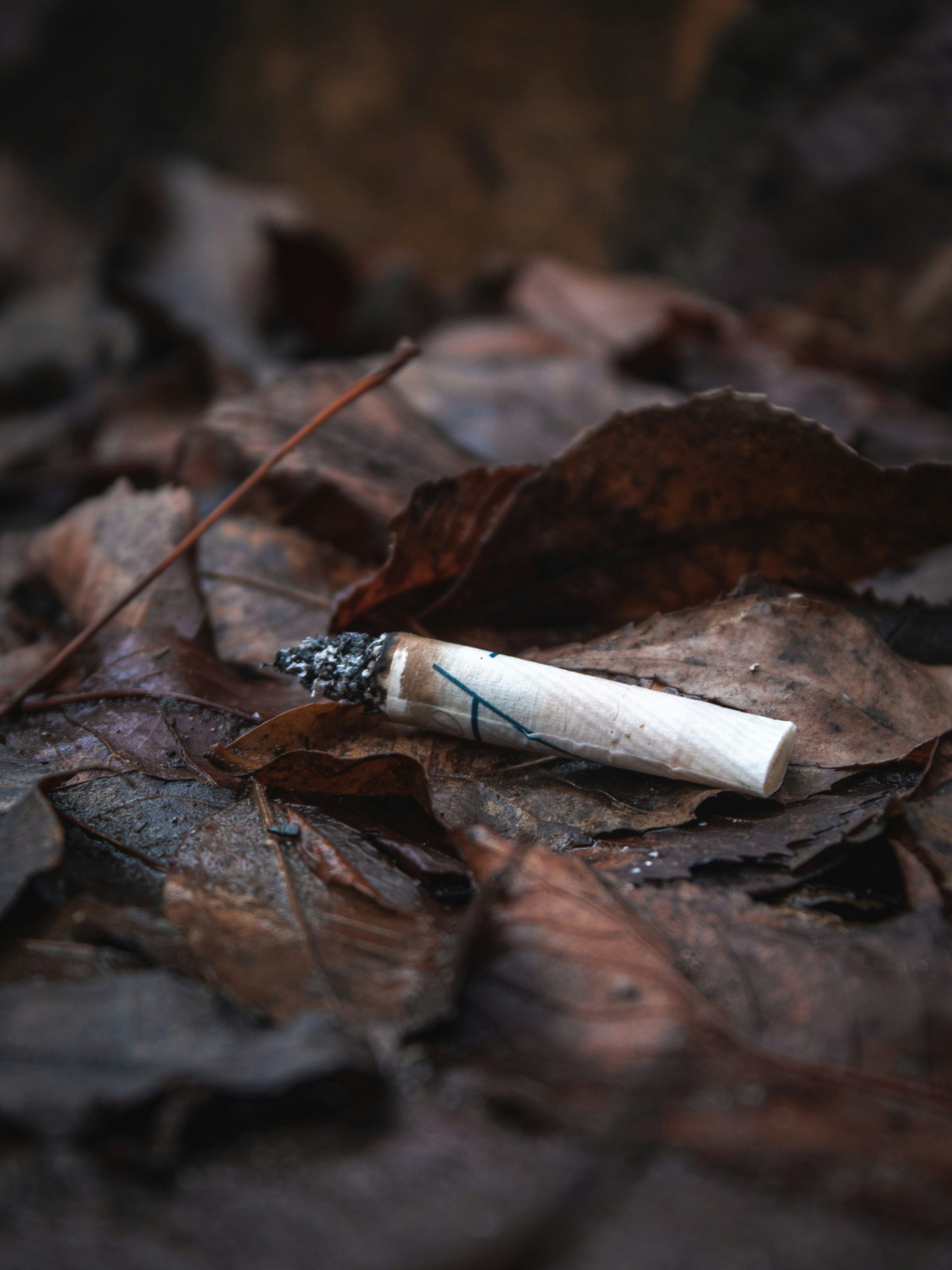 CSV-Motioun fir eng “Commune sans tabac” eestëmmeg ugeholl